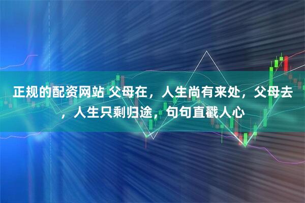 正规的配资网站 父母在，人生尚有来处，父母去，人生只剩归途，句句直戳人心