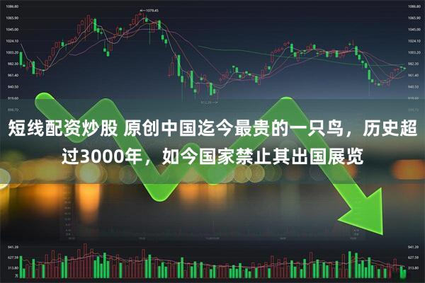 短线配资炒股 原创中国迄今最贵的一只鸟,历史超过3000年,如今国家禁止其出国展览